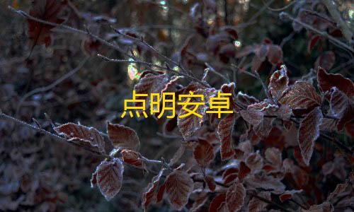 魔盟网暗区突围物资透视点明安卓